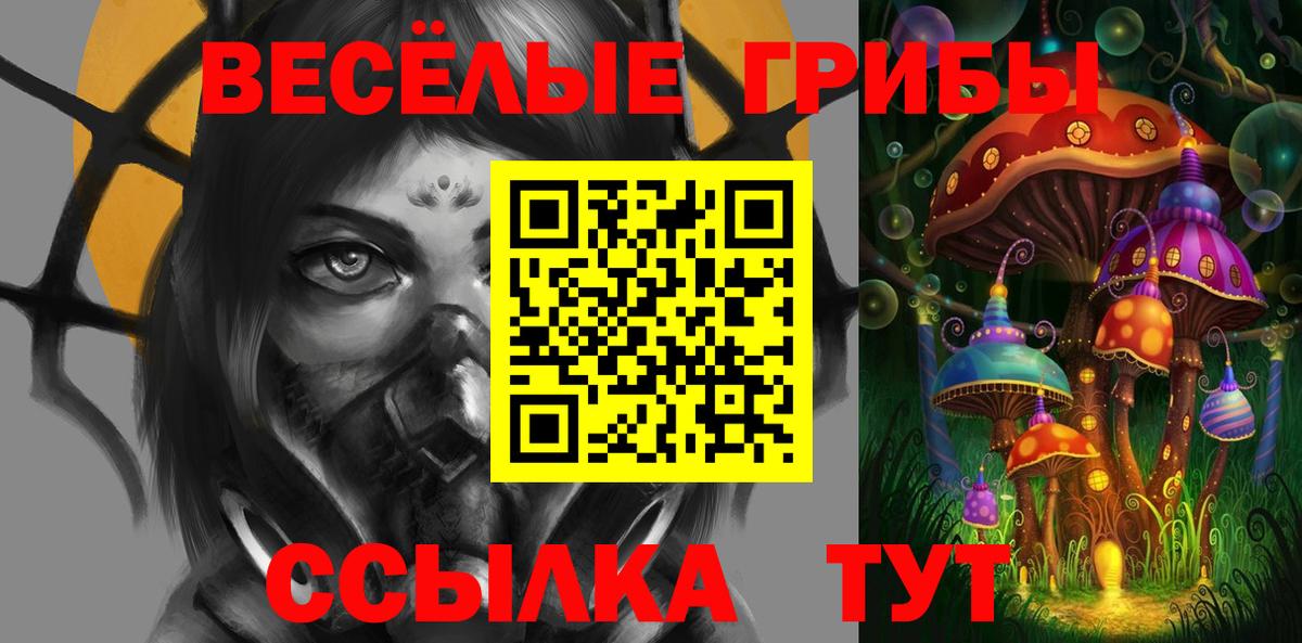 Псилоцибиновые грибы MAGIC MUSHROOMS  Вход с VPN  Павлово 